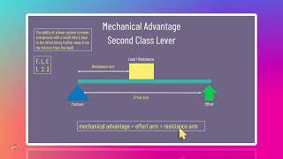 AQA GCSE PE Revision Course Mechanical Advantage [upl. by Arammat345]