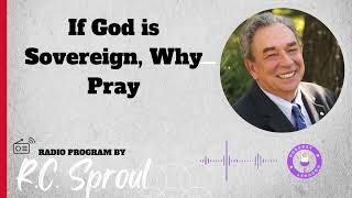 If God is Sovereign Why Pray  Sermon by RC Sproul [upl. by Anerres]