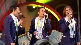 JukeBox Boys  Beach Boys Medley  Efteling [upl. by Devaney]