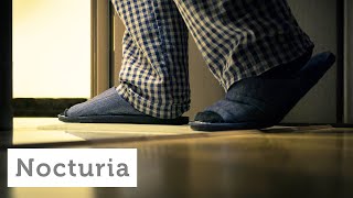 Nocturia How to Avoid Frequent Urination at Night [upl. by Rosemari350]