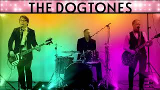 【Awesome】Cover Band  The Dogtones  Disco Mashup Seattle WA [upl. by Lynus]