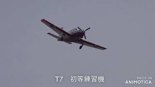 岐阜基地 初等練習機T7 と 主力戦闘機F15 20240402 [upl. by Eutnoj576]