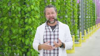 Quick Tour of a Vertical Greenhouse  Spill The Greens  Episode 3 [upl. by Yeoj]