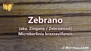 Zebrano microberlinia brazzavillensis aka zebrawoodzingana [upl. by Asp]