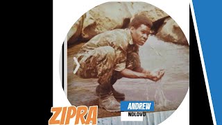 ZIPRA and ZAPU brought about the Zimbabwean independence Andrew Ndlovu [upl. by Mert]