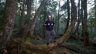 EXPLORING The Aokigahara Japanese Forest We Found This [upl. by Niamart]