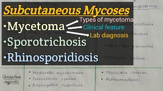 Subcutaneous Mycosis  Mycetoma  Sporotrichosis  Rhinosporiodosis [upl. by Seuqirdor363]