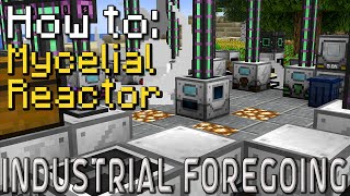 How to Industrial Foregoing  Mycelial Reactor Minecraft 1201 [upl. by Uhile143]