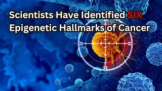 Scientists Have Identified 6 Epigenetic Hallmarks of Cancer [upl. by Chesnut57]