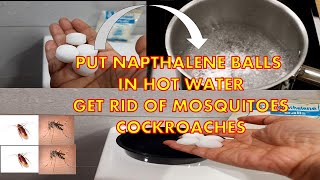 Put Naphthalene Balls In Boiling Hot Water amp See What Happens  Get rid of mosquitoes amp Cockroaches [upl. by Adnauqahs]