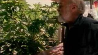 Global Gardener  Permaculture with Bill Mollison Bullfrog Films clip [upl. by Blanchette]