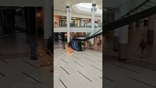 Mid Autumn Festival at Markville Mall Markham Ontario [upl. by Anaili352]