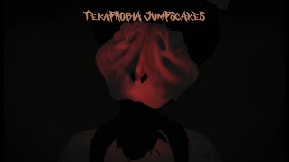 Teraphobia Jumpscares [upl. by Giacinta]