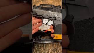 Sig P365 X Macro ASMR [upl. by Haraf]