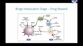 Neurobiology of Addiction by Dr Jayant Mahadevan [upl. by Adalai]