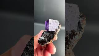 Fluorite on Sphalerite from USA  Fine Art Minerals  Fluorite [upl. by Meares]