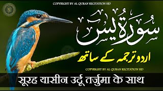 Surat Yaseen with Urdu Translation  Surah Yasin  Quran Tilawat Beautiful Voice  Hindi Tarjuma [upl. by Prasad664]