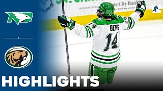 North Dakota vs Bemidji State  NCAA College Hockey  Highlights  November 24 2023 [upl. by Anirok]