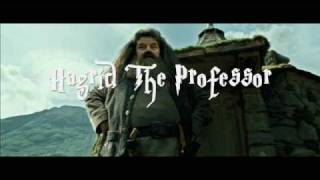 Hagrid the Professor [upl. by Adnuhsat]