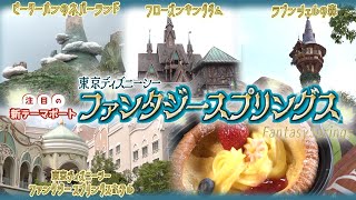 ファンタジースプリングス完全ガイド！東京ディズニーシー新エリアで夢の冒険へ [upl. by Ennovahs]