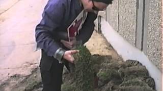 Eddie Vedder takes a walk around Wrigley Field 1992 RARE [upl. by Trescott199]