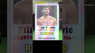 Top 10 WBC Heavyweight Boxers In The World 2024 boxing bestboxers wbcboxing [upl. by Ahtibbat]