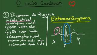 O Ciclo Cardíaco  Resumo  Fisiologia [upl. by Haikan]