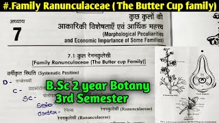 Family Ranunculaceae in Hindi  The Butter cup family  BSc 2nd year Botany 3rd Semester [upl. by Aicirtac]