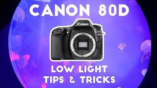 Canon 80D Low Light Tips and Tricks for Video [upl. by Leivad]