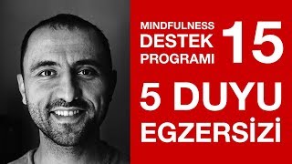 Mindfulness ve 5 Duyu Meditasyonu  Ders 15 [upl. by Nylrahc]