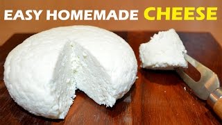 How to Make Cheese at Home  2 ingredient Easy Cheese Recipe [upl. by Mattox]