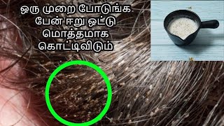 முடியில் ஒட்டி இருக்கிற ஈறு பேன் ஒட்டு மொத்தமாக கொட்டிவிடும்  lice home remedy in tamil [upl. by Reo]