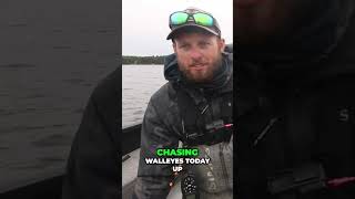 Master Fall Walleye Fishing Tips for Success [upl. by Ayokal]