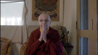 Jetsunma Tenzin Palmo  a message during times of war in Israel [upl. by Akym890]