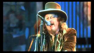 Zucchero Live In Italy  Cosi Celeste [upl. by Oleusnoc909]