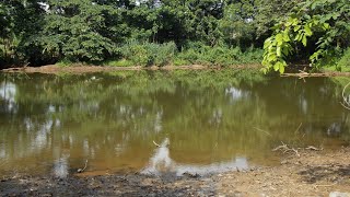 THE SALT WATER THAT SAVED A LOT OF BIAFRANS FROM KWASHIORKOR DURING NIGERIANBIAFRA WAR OF 19671970 [upl. by Llewoh935]