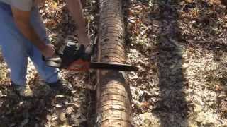 10 x 8 Log Cabin Episode 1  Creating the sills [upl. by Pancho286]