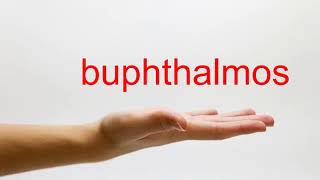 How to Pronounce buphthalmos  American English [upl. by Nigle267]