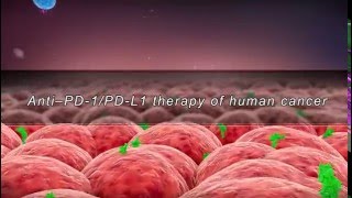 Anti–PD1PDL1 therapy of human cancerwith sound track [upl. by Rocher]