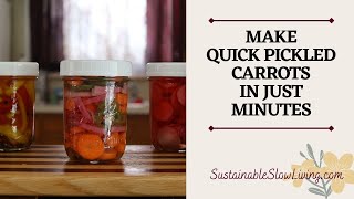 How To Make PERFECT Pickled Carrots In Just Minutes [upl. by Namaan49]