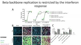 Max Erdmann  It’s not all about spike – investigating nonspike lineage defining mutations [upl. by Yddet]