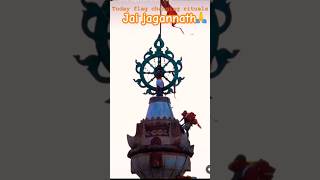 Shree jagannath temple flag changing rituals puri jagannathpuritemple jagannath [upl. by Beaston]