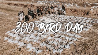 Snow Goose Hunting GIANT RAINOUTS 300 bird day [upl. by Fraze544]