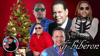 Llegó Navidad  Mix Merengue Navideño 2020  Fernando Villalona Toño Rosario Peña Suazo Y Mas [upl. by Nuj663]