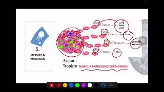 Hallmark of Cancer Part 2 [upl. by Ramsdell]