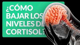 Cómo bajar los niveles de cortisol para la ansiedad [upl. by Secrest]