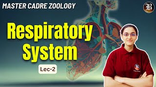 Respiratory System Lec2  Master Cadre Zoology Preparation  Most Important topic  Bansal Academy [upl. by Halla387]