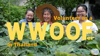 How to be a WWOOF Volunteer in Thailand wwoof [upl. by Aikehs]