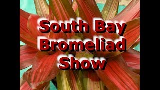 2018 Bromeliad Show at Rainforest Flora in Hawthorne CA [upl. by Nalced]