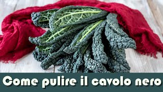 Come pulire il cavolo nero toscano [upl. by Edita768]